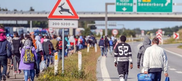 Refugiats a Dinamarca