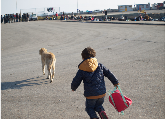 Un nen s'entreté perseguint un gos de carrer al port de Mitilene (foto: Oriol Bäbler)