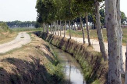 VilaWeb