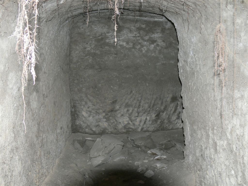 VilaWeb