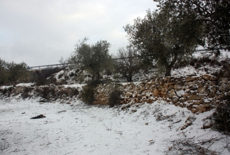 VilaWeb
