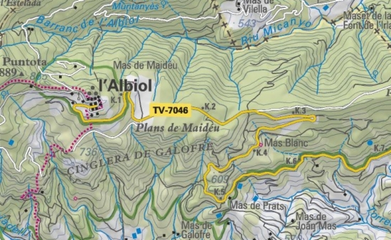 VilaWeb