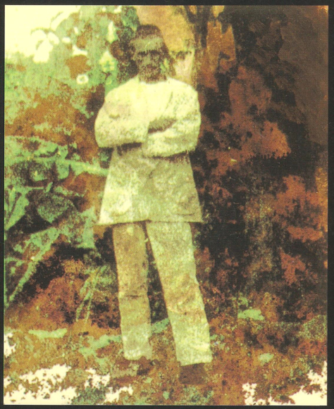 VilaWeb