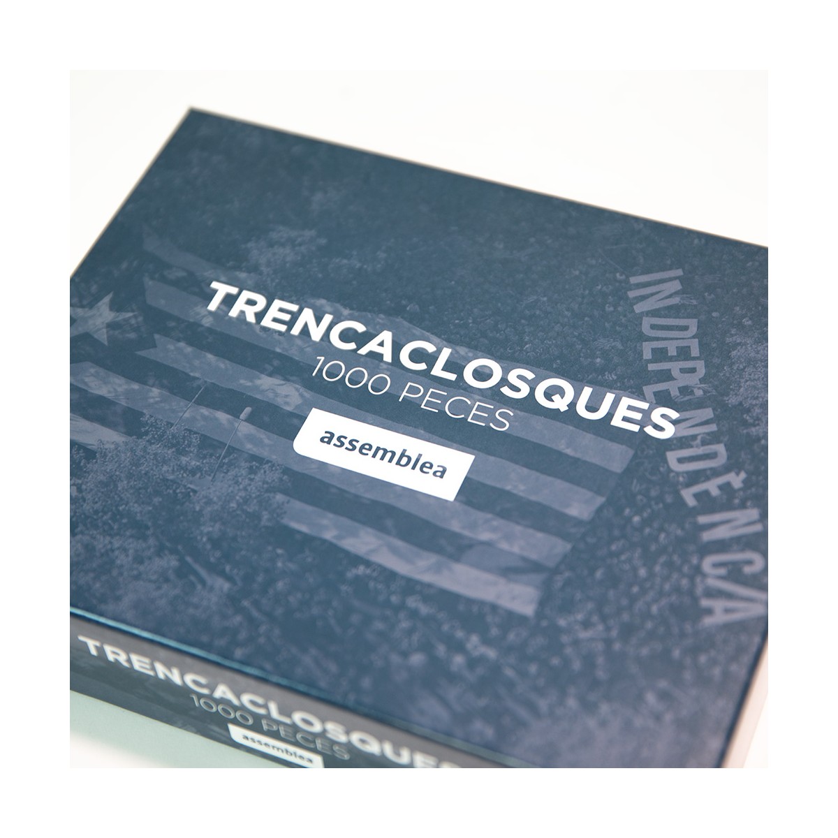 trencaclosques-assemblea (1)