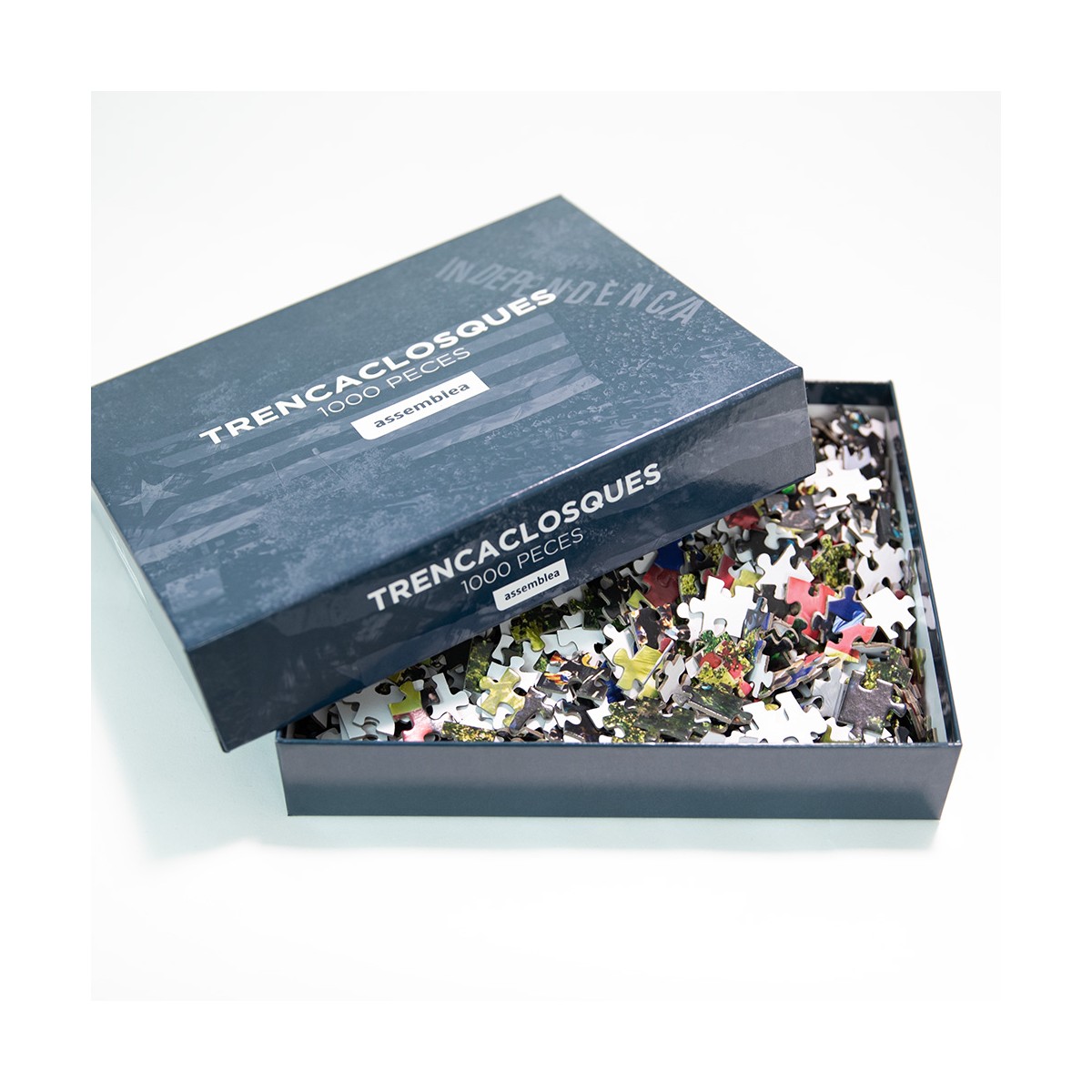 trencaclosques-assemblea (2)