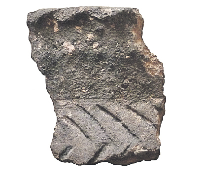 Fragment de ceràmica de Merlès (entre els segles VII i IX aC). Peces molt freqüentes durant el preibèric, descobertes al jaciment de Camprodon, a Merlès // Foto: Àngels Pujols