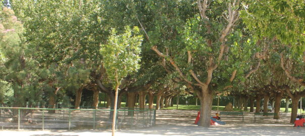 Vista parcial del Parc municipal de Mollerussa