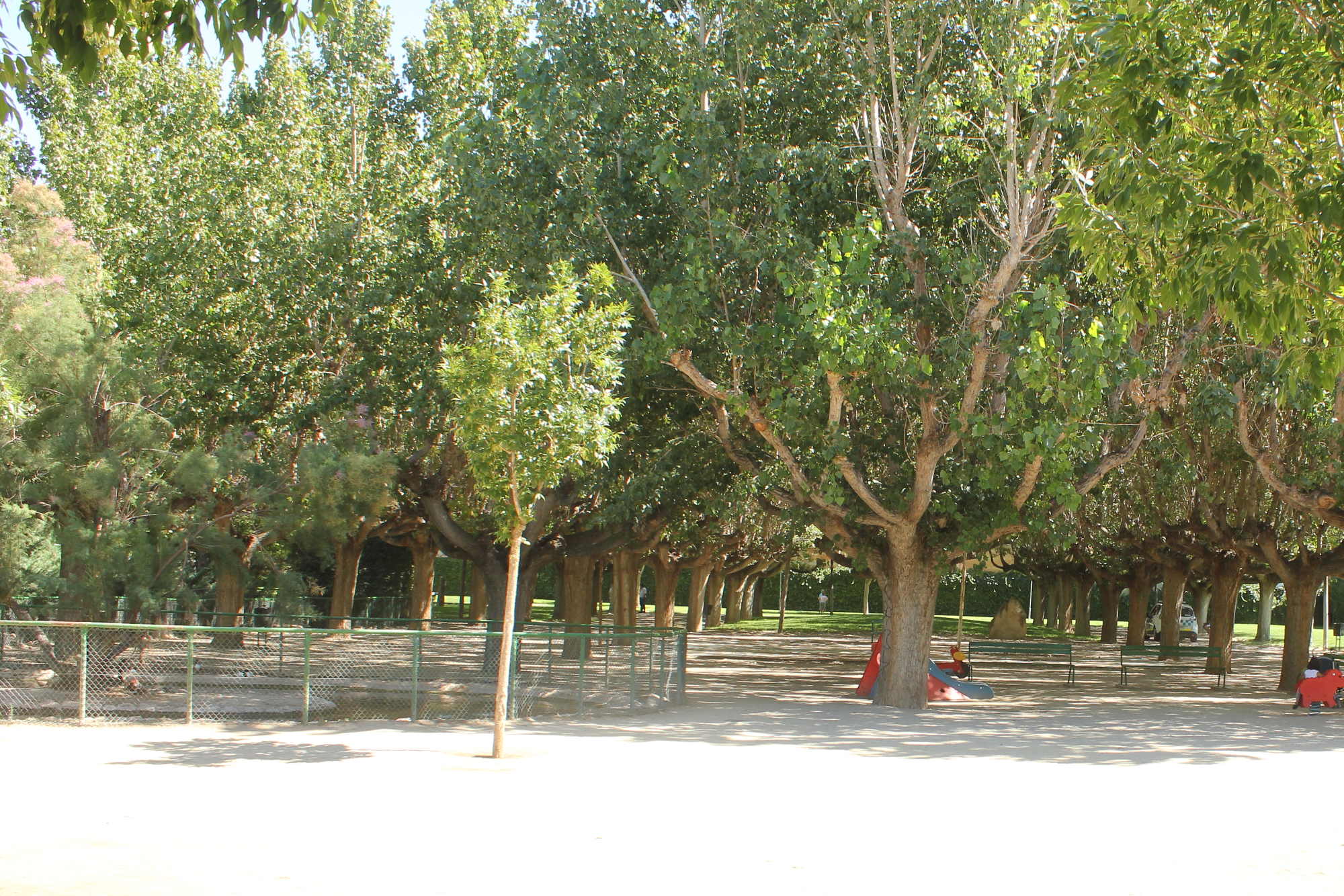 Vista parcial del Parc municipal de Mollerussa