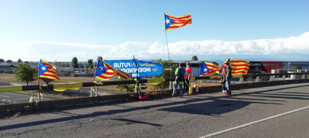 El pont de l'autovia al terme de Vila-sana