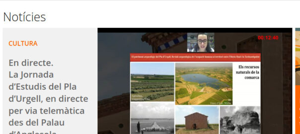 Captura de pantalla de la retransmissió en directe de les Jornades d'Estudis i que també es van poder seguir des de la portada de VilaWeb Mollerussa
