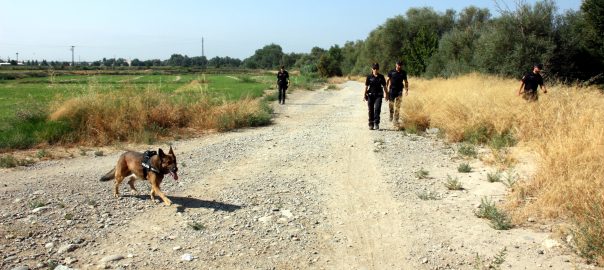 Una unitat canina dels Mossos d'Esquadra fent cerca per la canalització del riu Segre.