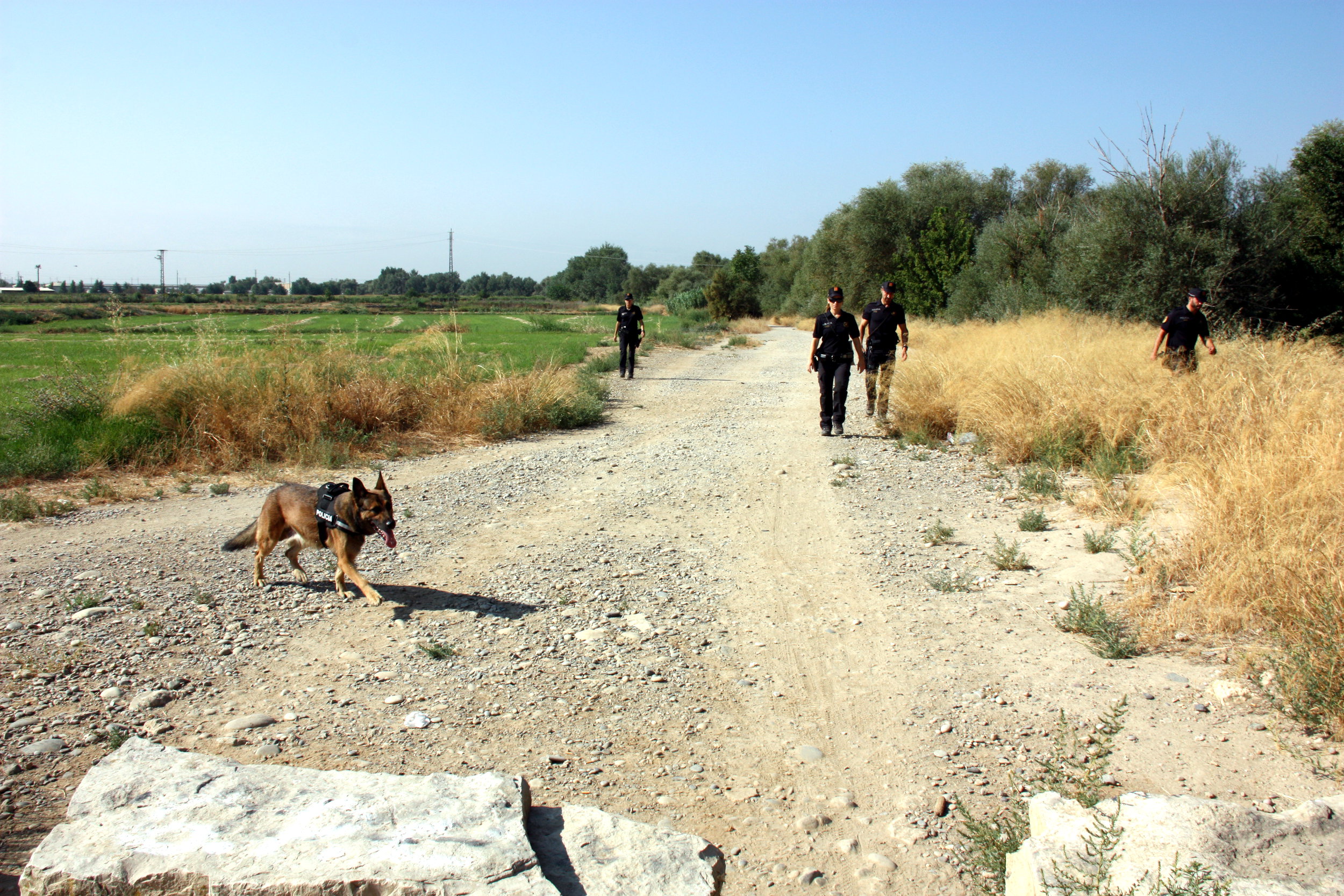 Una unitat canina dels Mossos d'Esquadra fent cerca per la canalització del riu Segre.