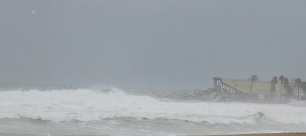 Imatge d'arxiu d'un temporal de vent a Barcelona