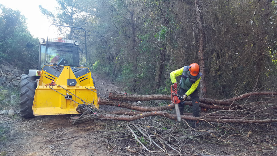 Acció a l’espai d’interès natural dels Colls, a Miralpeix (Garraf). Diputació de Barcelona.