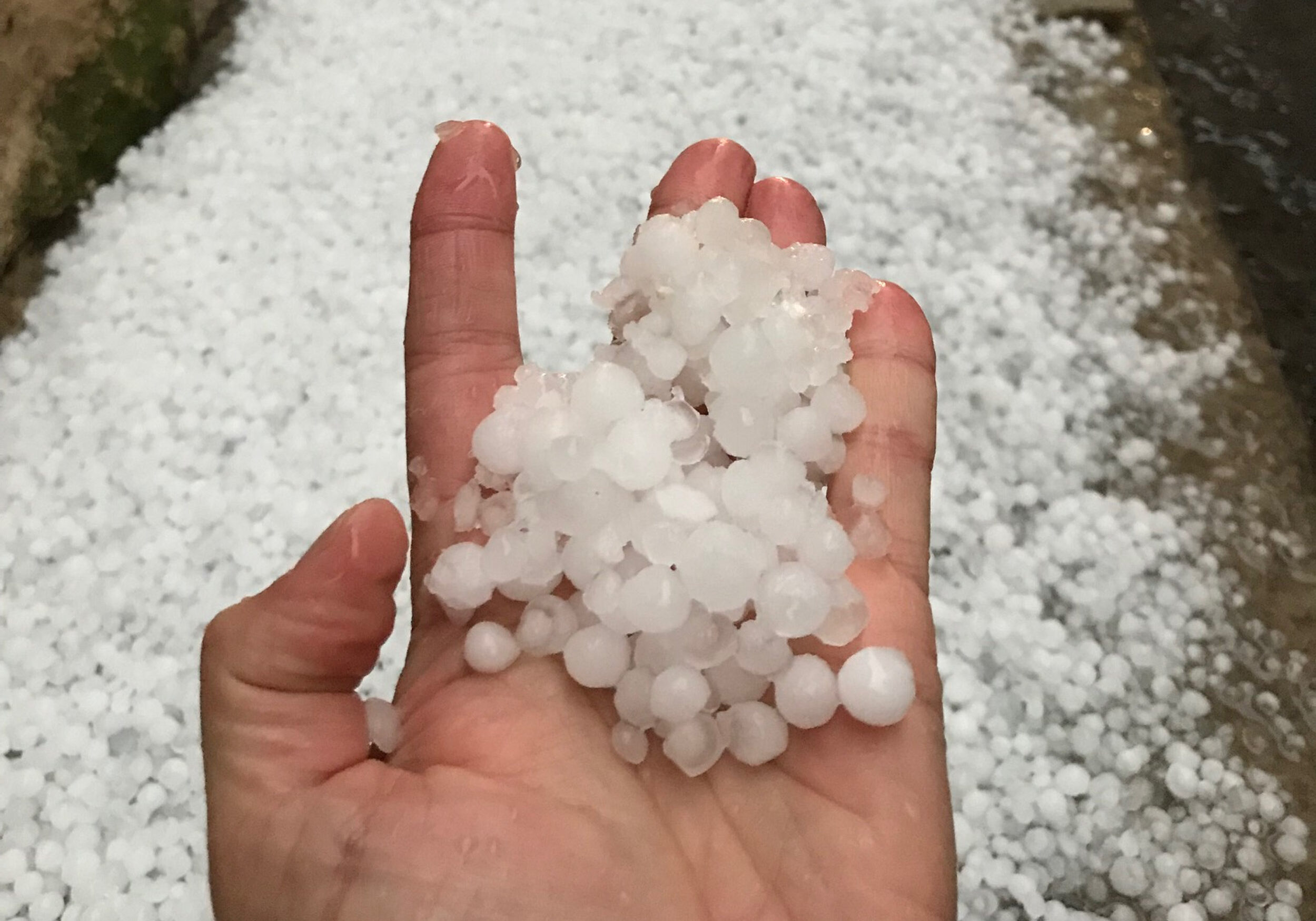 El Meteocat fa una crida a recollir pedra de les tempestes per ajudar en les prediccions