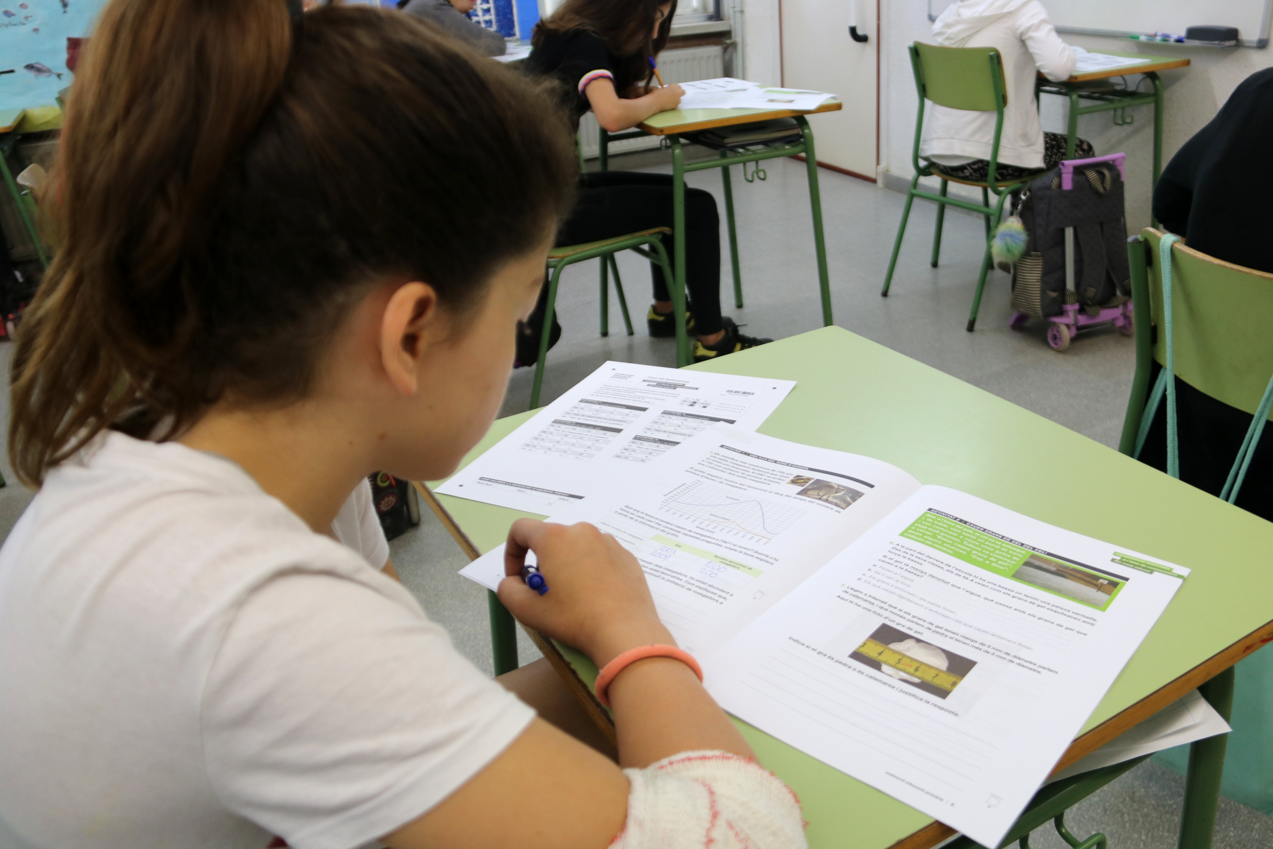 Imatge d'arxiu d'una alumna fent la prova PISA.