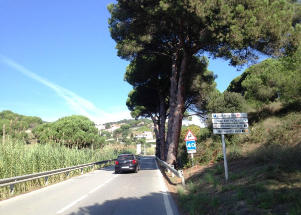Carretera que travessa el coll de Font de Cera, passant del Maresme al Vallès Oriental.