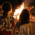 Unes quantes coses per a cremar