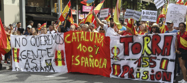 Imatge d'arxiu d'una manifestació ultradreta (fotografia: Albert Salamé)