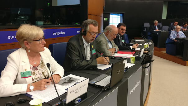 La delegació de l'Acadèmia Aranesa de la Llengua Occitana durant la seva intervenció al l'Integrup de Minories del Parlament Europeu, a Estrasburg