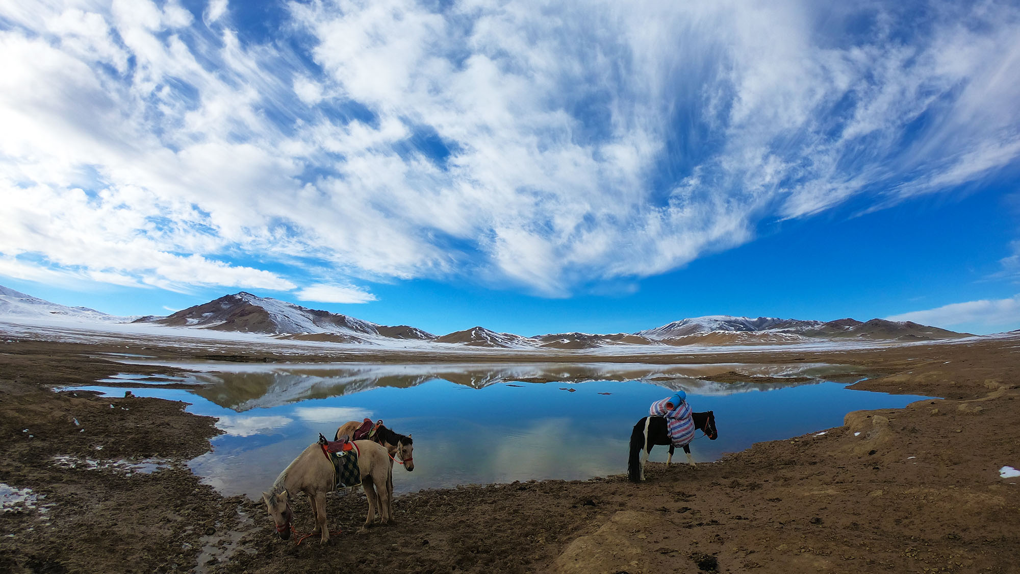 El cel blau de Mongòlia no és etern.