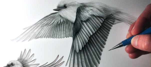 «Al vagó hi ha algú que reté aquella escena sense necessitar escriure’n res en cap llibreta. No n’oblidarà l’essencial» (il·lustració de Chris Straver).