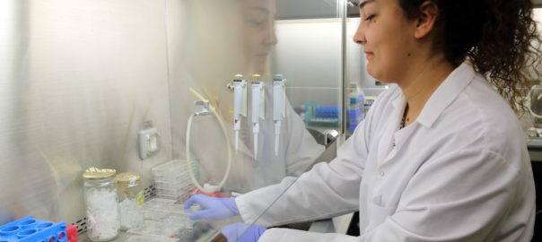 Imatge d'arxiu d'una investigadora