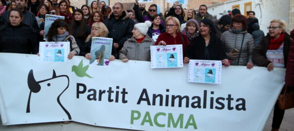 pacma eleccions
