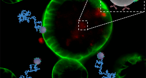 nanorobots
