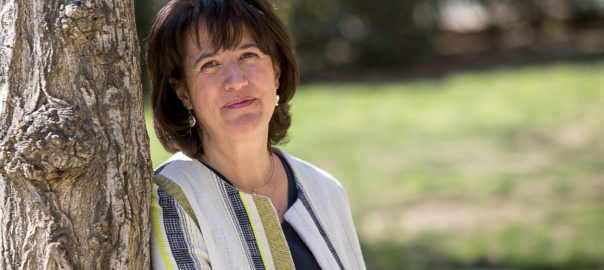 Elisenda Paluzie