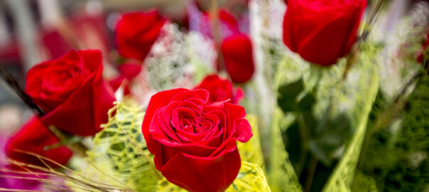 Roses a domicili
