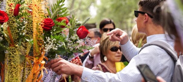 Sant Jordi 2020 a casa activitats