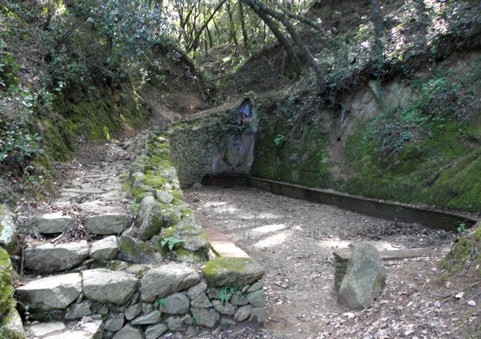 La font del Pradelló, al Montseny, un dels escenaris de Poesia als Parcs.