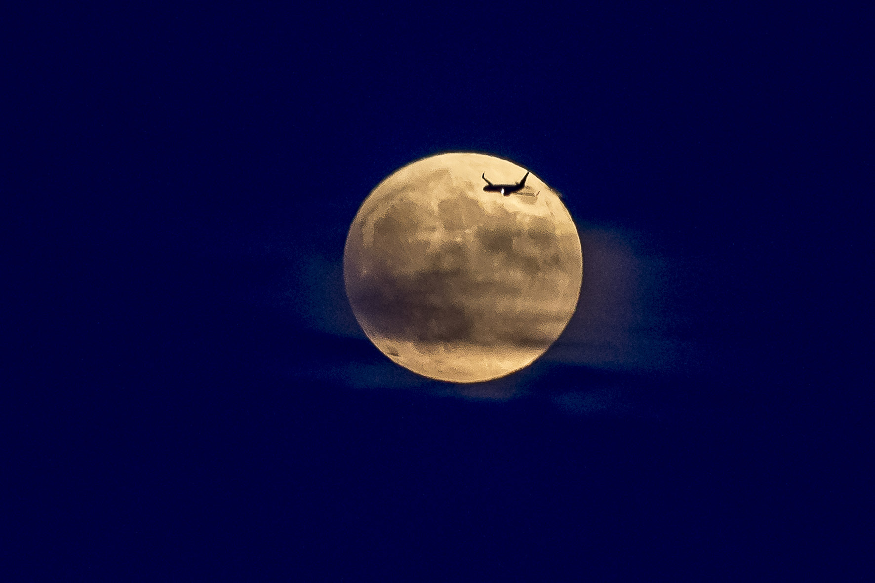 Un moment de l'eclipsi de lluna del passat 17 de juliol del 2009. Fotografia: Albert Salamé