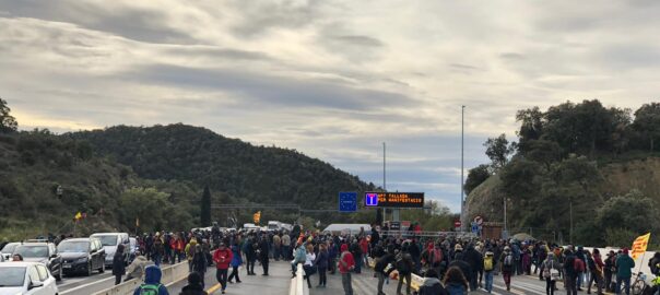 Tall Jonquera Tsunami Democràtic