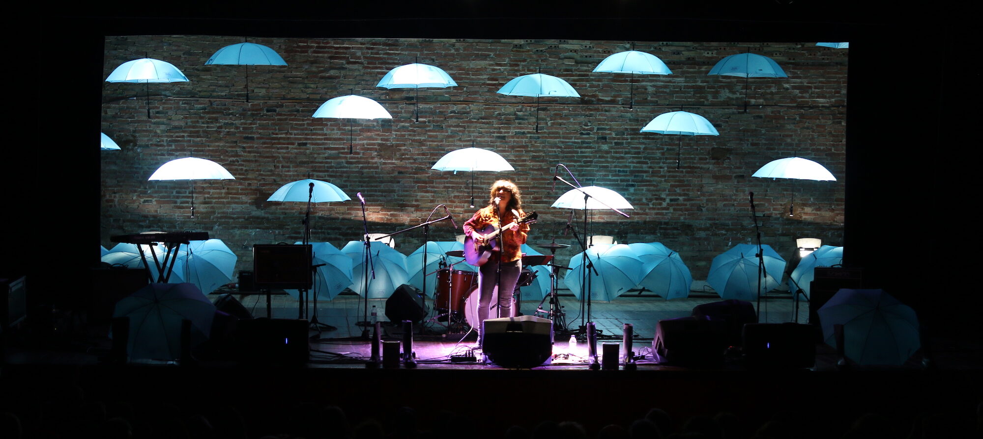 Joana Serrat, durant el concert de la Riumuntada, el dissabte 23 de novembre (fotografia: Riuada Solidària).