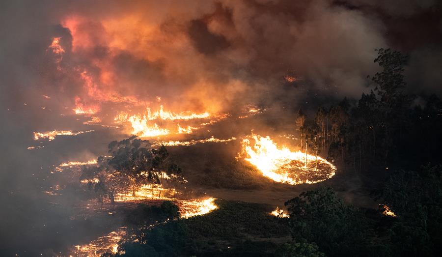 Fotografia del foc a l'estat australià de Victoria, al sud Nova Gal·les del Sud