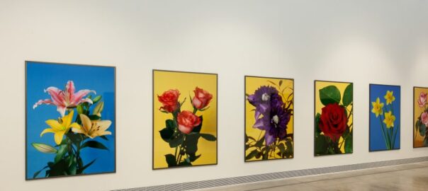 Exposició 'Botàniques' al Bombas Gens