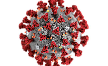 il·lustració coronavirus