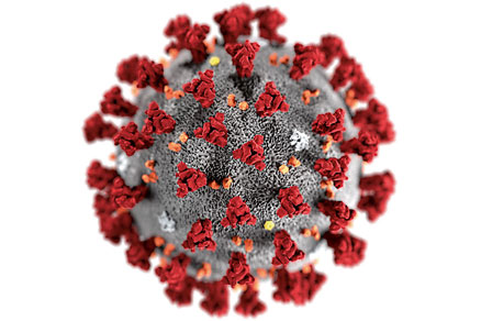 Il·lustració publicada el gener de 2020 pel Centre de Control i Prevenció de Malalties Infeccioses dels EUA, on podem observar la morfologia del coronavirus: la superfície exterior presenta una mena d’espines o puntes que recorden la forma d’una corona. / CDC/Alissa Eckert, MS