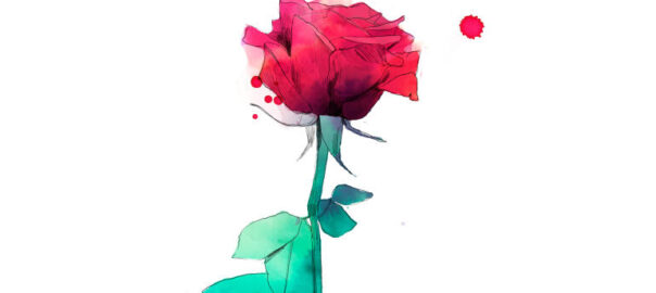 Rosa virtual Sant Jordi 2020