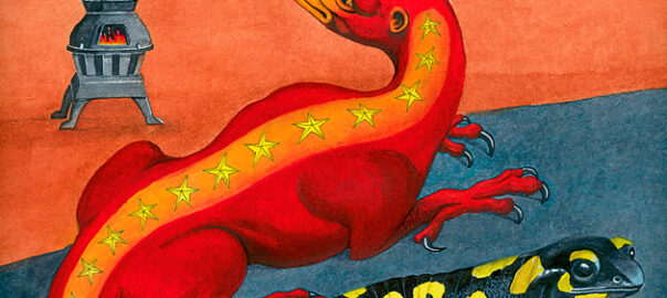 il·lustració salamandra