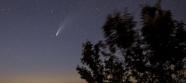 Imatge d'arxiu del cometa C/2020 F3 Neowise. Fotografia: Albert Salamé.