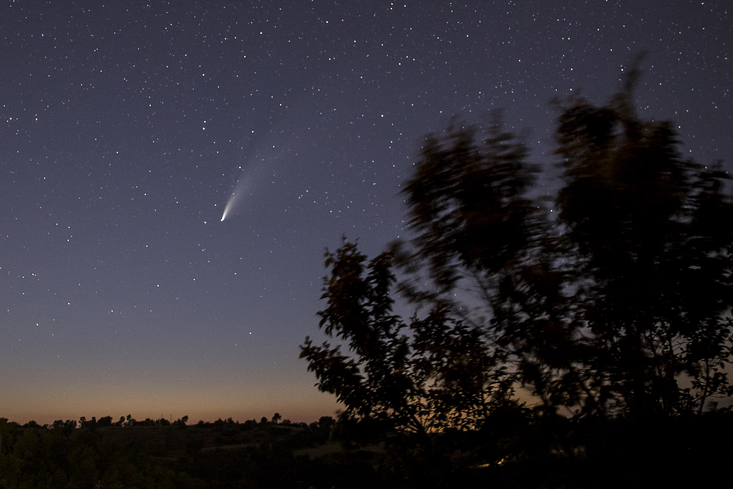 Imatge d'arxiu del cometa C/2020 F3 Neowise. Fotografia: Albert Salamé.