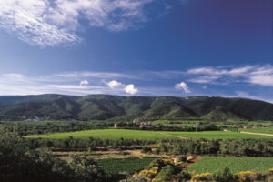 Reial Monestir de Santa Maria de Poblet a Vimbodí i Poblet (Costa Daurada). Agència Catalana de Turisme