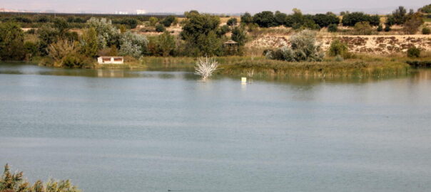 Pla general on es pot veure l'estany d'Ivars i Vila-sana