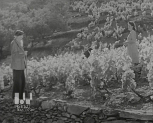 Aristides Maillol passejant per les vinyes de Banyuls.