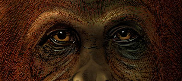 paleoproteòmica Gigantopithecus blacki