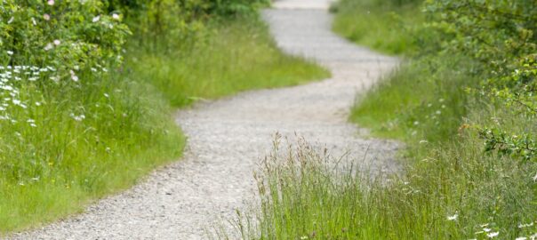 camí