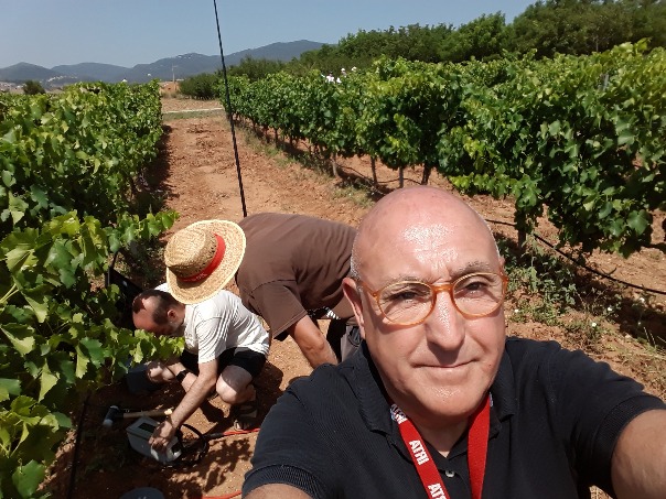 Robert Savé, coordinador de vitivinicultura de l’IRTA. Especialista en vinya i canvi climàtic.